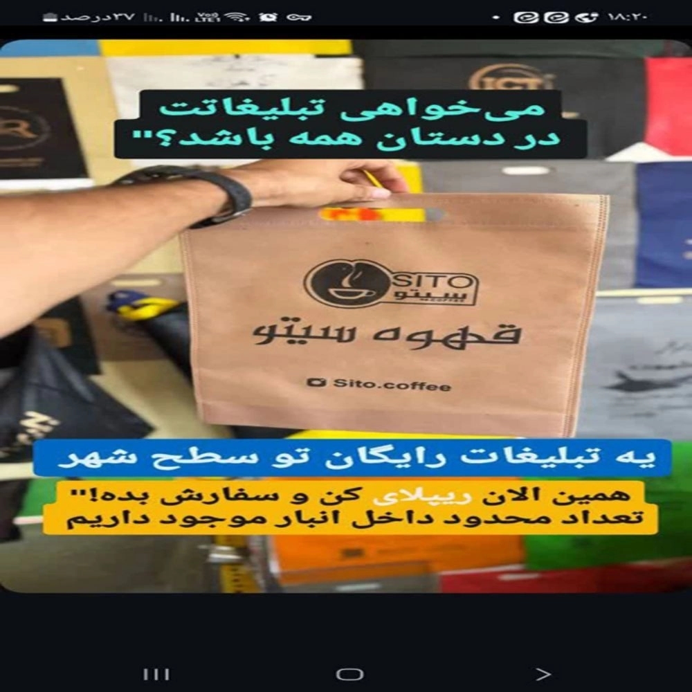 1734251087924.webp