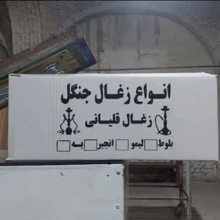 1736235144043.webp